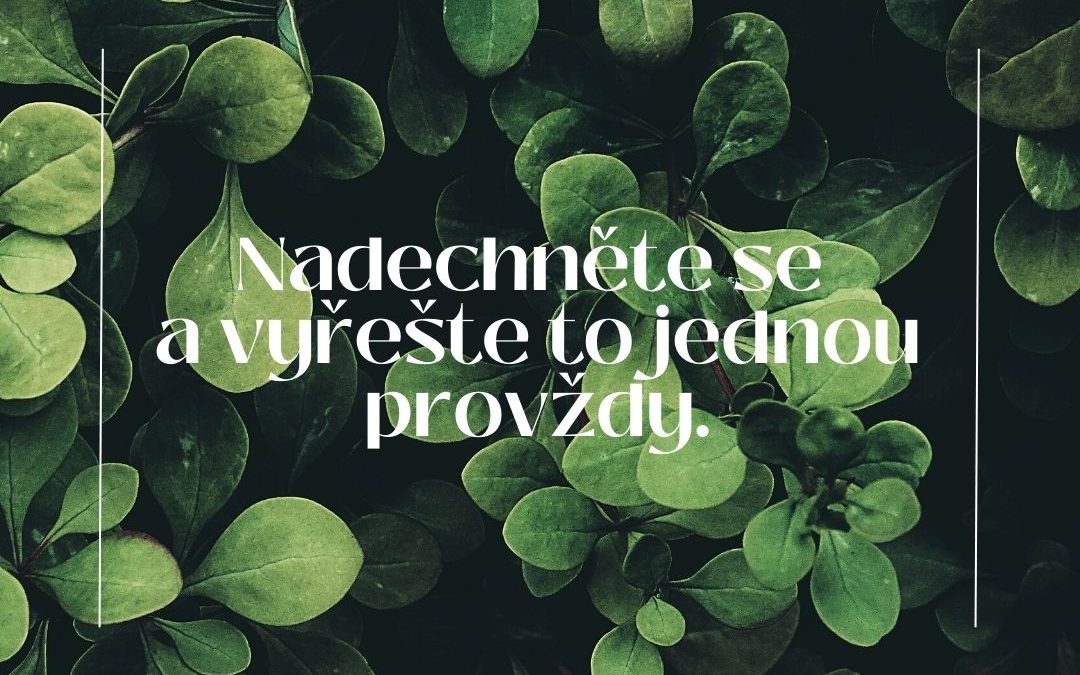 Jak v mediaci postupujeme